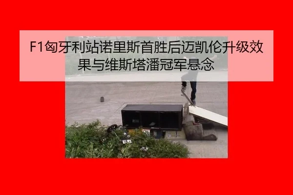 xiong-ya-li-zhan-nuo-li-si-shou-sheng-hou-mai-kai-lun-sheng-ji-xiao-guo-yu-wei-si-ta-pan-guan-jun-xuan-nian-2-272.jpg